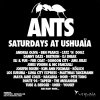 ants.jpg