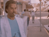 tenor.gif