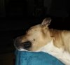 IMG_20201105_003813.jpg