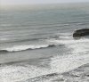 IMG_20201115_091730.jpg