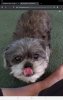 Screenshot_20201120-175831_Chrome.jpg
