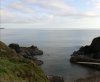 IMG_20201105_154042.jpg