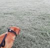 IMG_20201127_082223.jpg