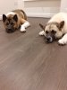 20201127_092901.jpg