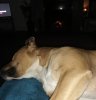 IMG_20201127_235302.jpg