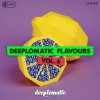 flavoursVol6-deeplomatic.jpg