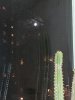 rsz_20201231_184219.jpg