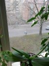 rsz_20210405_110958.jpg