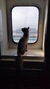 IMG-20211002-WA0001.jpeg