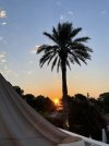 IMG_0580.jpeg