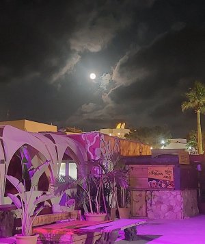 rsz_20230603_222836.jpg