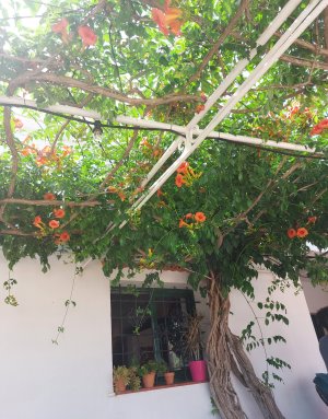 rsz_120230603_155100.jpg