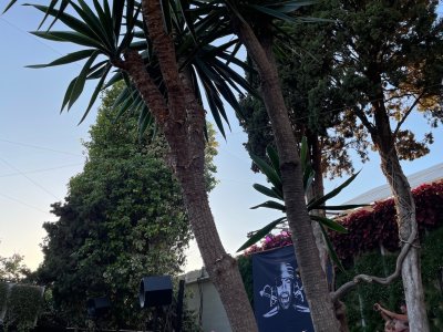IMG_9964.jpeg