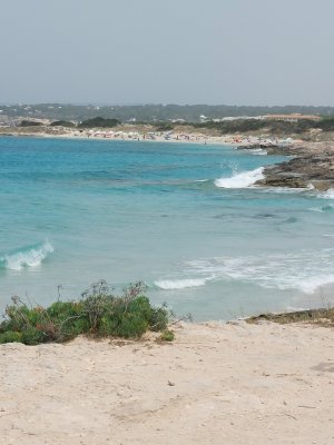 rsz_20250612_155900.jpg