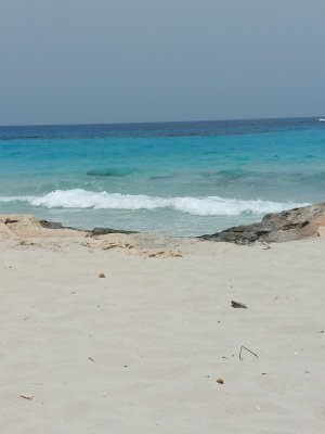 rsz_20250612_143655.jpg