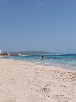 rsz_120250616_152304.jpg