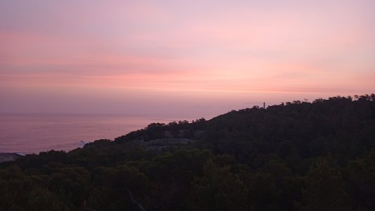 IMG-20250617-WA0000.jpeg