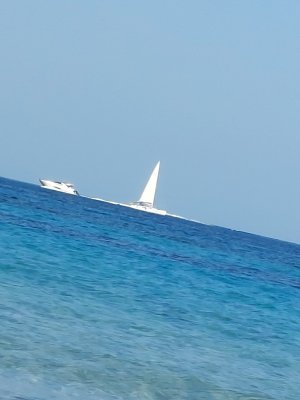 rsz_20250618_191652.jpg