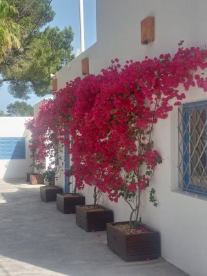 rsz_20250616_164743.jpg