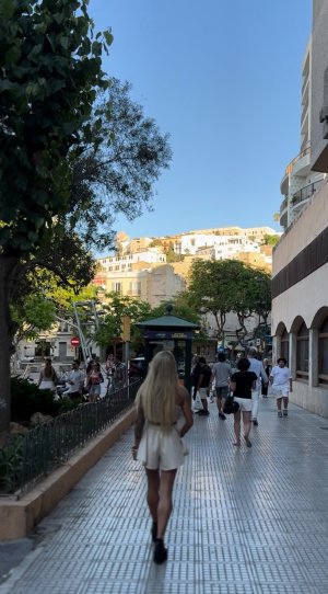 IMG_2703.jpeg