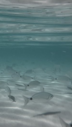 IMG_2704.jpeg