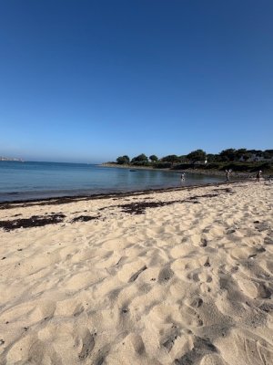 IMG_0637.jpeg
