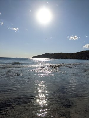 sPXL_20250923_153713684.jpg