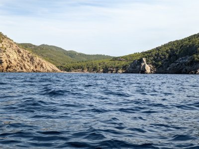 sPXL_20250928_140202309.jpg