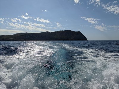 sPXL_20250928_140438082.jpg