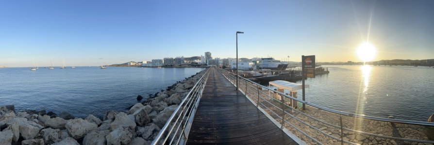 IMG_4436.jpeg