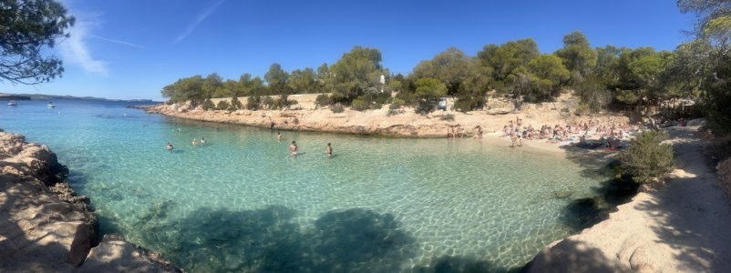 IMG_4416.jpeg