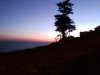 IMG_20161203_190400.jpg