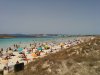 IMG_20160720_144912.jpg