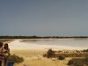 IMG_20160720_142827.jpg
