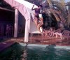 pool_ku_slide.jpg