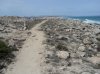 Formentera15.jpg