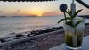 rsz_220170420_203427.jpg
