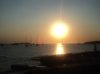 Ibizas4.jpg Ibizas4.jpg