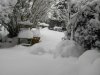 IMG_20180302_100821.jpg