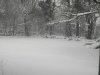 IMG_20180303_220949.jpg