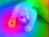 XsCdTVM.gif