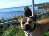 IMG_20180825_105528.jpg