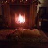 IMG_20190101_232504.jpg