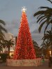 rsz_20181229_180112.jpg