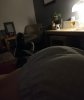 IMG_20200120_185053.jpg