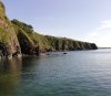 IMG_20200809_092656.jpg