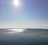 IMG_20200809_092729.jpg