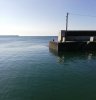 IMG_20200809_092741.jpg
