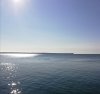 IMG_20200809_092823.jpg
