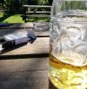 IMG_20200809_161414.jpg